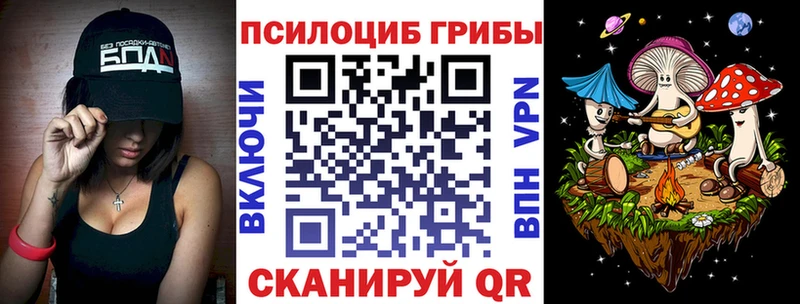 Галлюциногенные грибы Psilocybe  Горбатов 